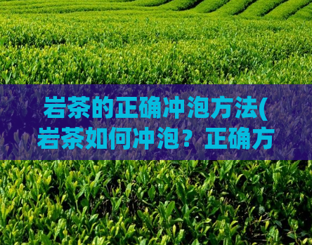 岩茶的正确冲泡方法(岩茶如何冲泡？正确方法分享！)