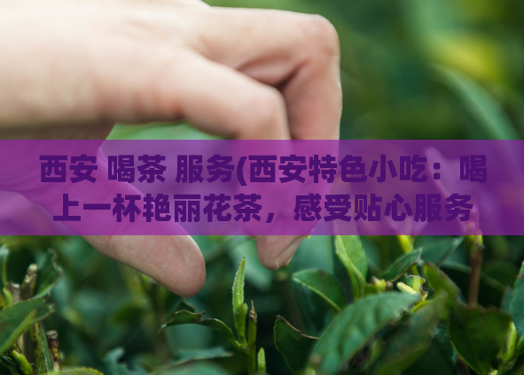 西安 喝茶 服务(西安特色小吃：喝上一杯艳丽花茶，感受贴心服务)
