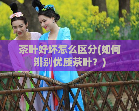 茶叶好坏怎么区分(如何辨别优质茶叶?)