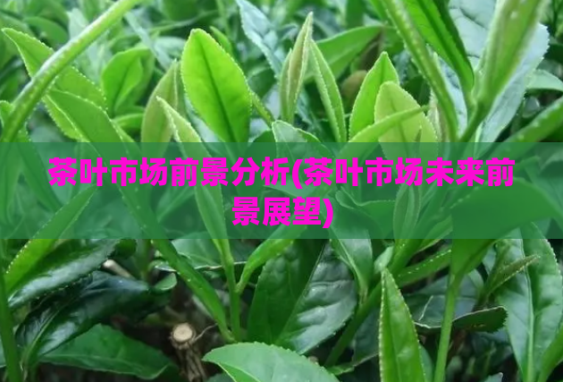 茶叶市场前景分析(茶叶市场未来前景展望)