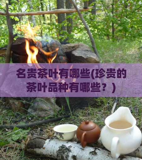 名贵茶叶有哪些(珍贵的茶叶品种有哪些？)