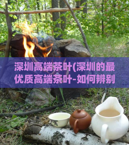 深圳高端茶叶(深圳的最优质高端茶叶-如何辨别真伪？)