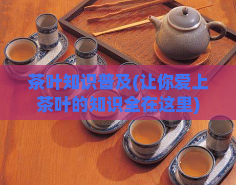 茶叶知识普及(让你爱上茶叶的知识全在这里)