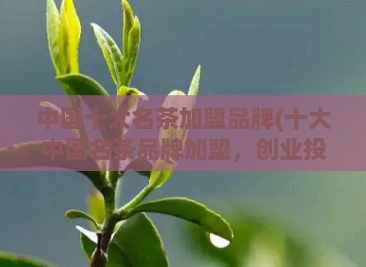 中国十大名茶加盟品牌(十大中国名茶品牌加盟，创业投资不可错过！)