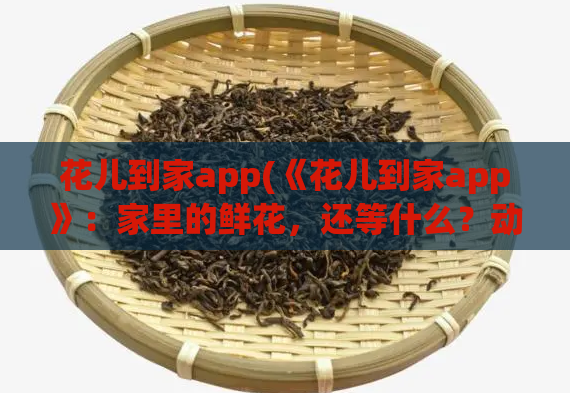 花儿到家app(《花儿到家app》：家里的鲜花，还等什么？动动手指轻松送！)