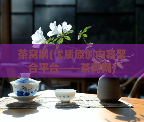 茶窝网(优质原创内容聚合平台——茶窝网)