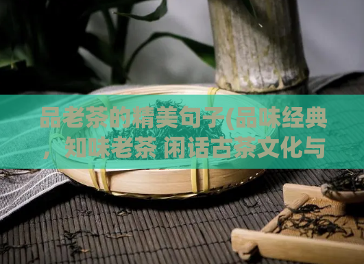 品老茶的精美句子(品味经典，知味老茶 闲话古茶文化与品评方法)
