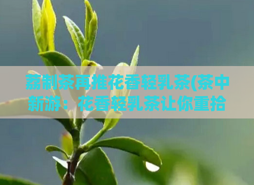 荔制茶再推花香轻乳茶(茶中新游：花香轻乳茶让你重拾品茶乐趣！)