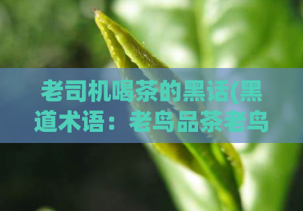 老司机喝茶的黑话(黑道术语：老鸟品茶老鸟品茶，你知道其中的奥秘吗？)